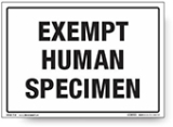 Exempt human specimen. Kleebis 190x134mm.